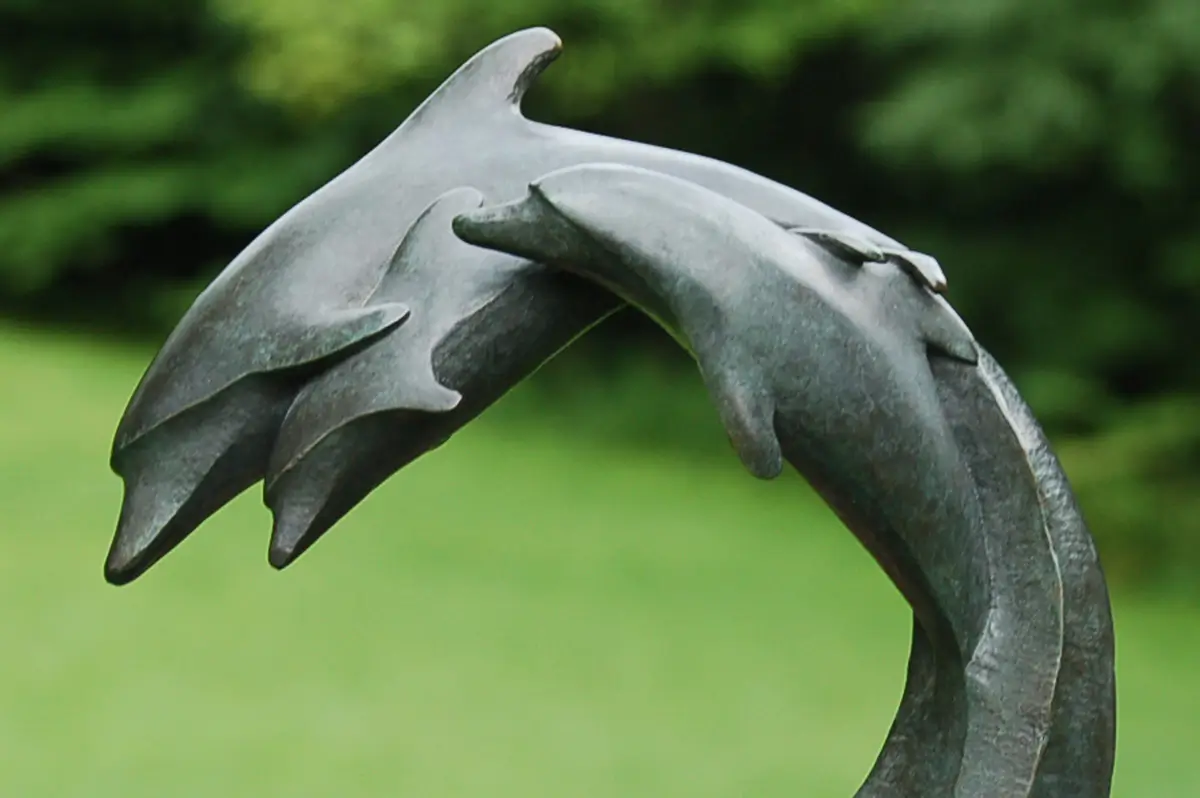 Dolphin Family