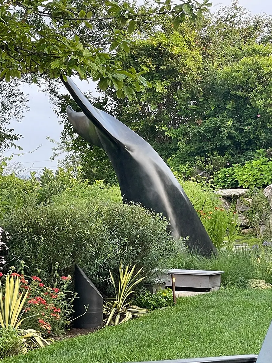 Gail – Whale Tail