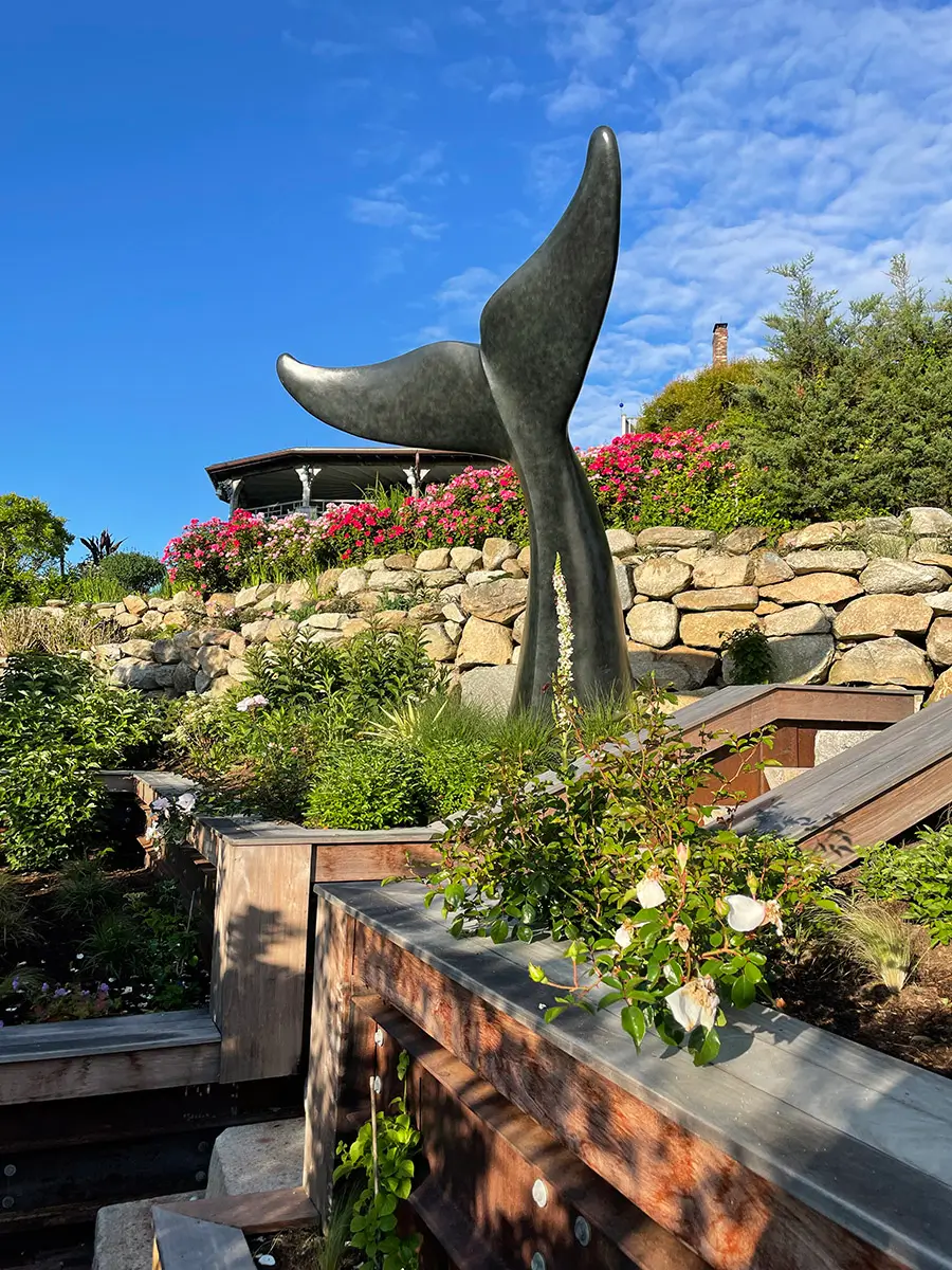 Gail – Whale Tail, view 2