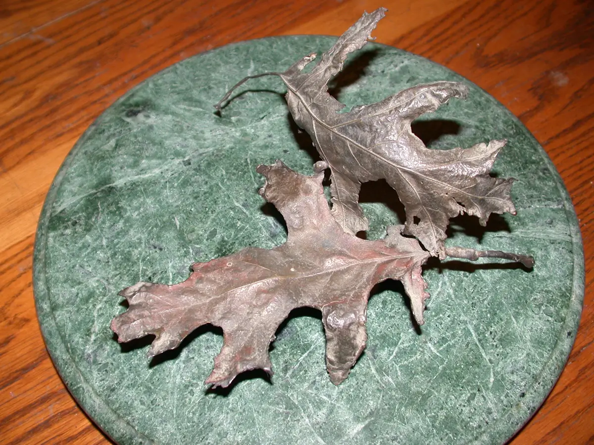 Leaf Bench