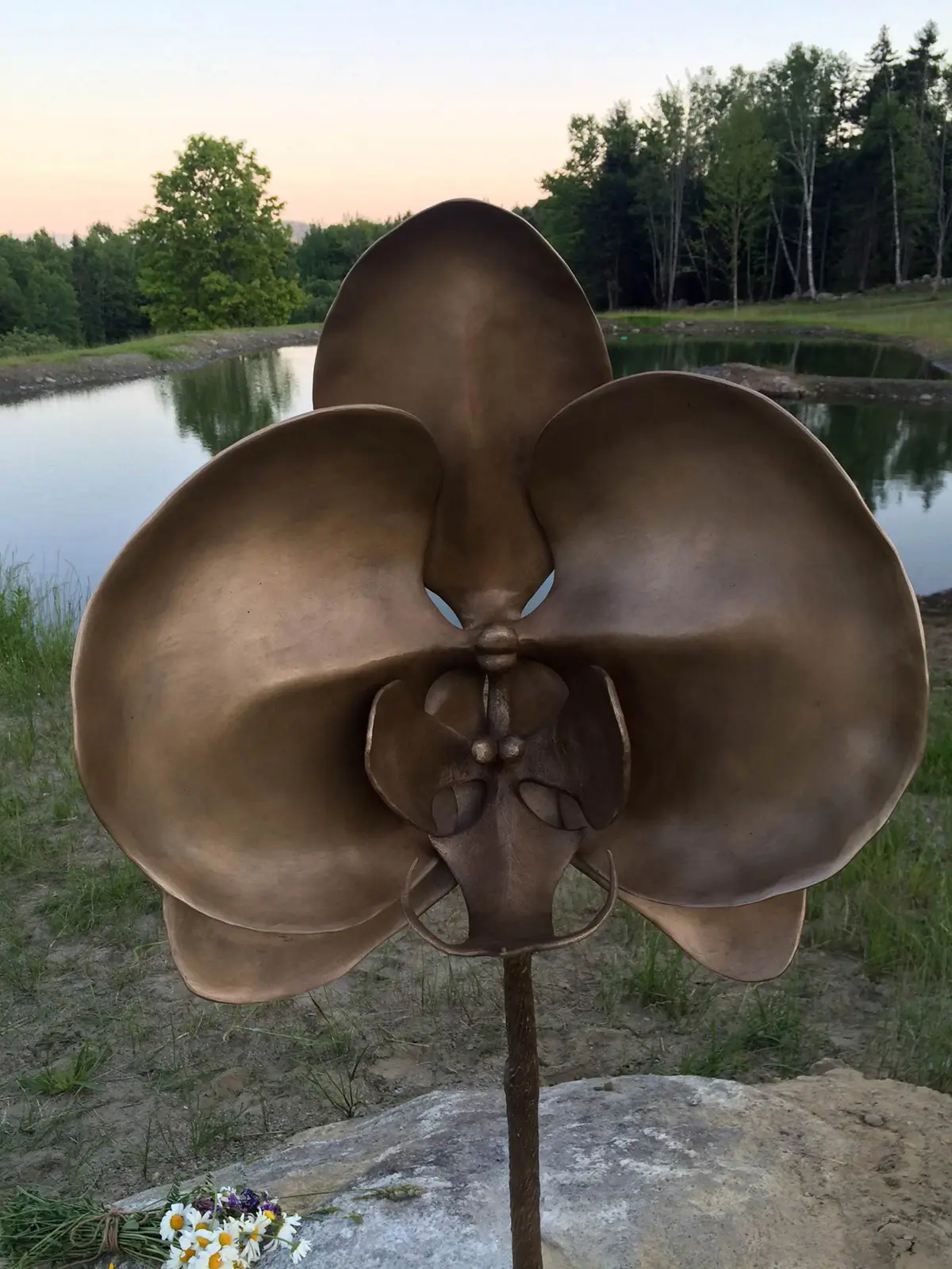 Orchid, view 2