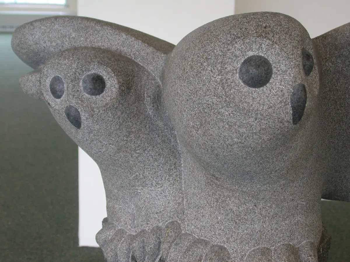 Owls