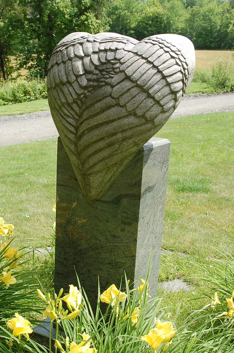 Parrot, view 2