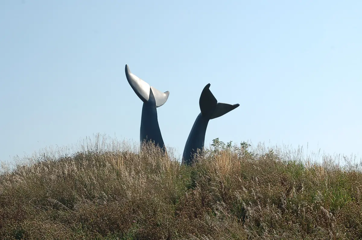 Reverence, view 4