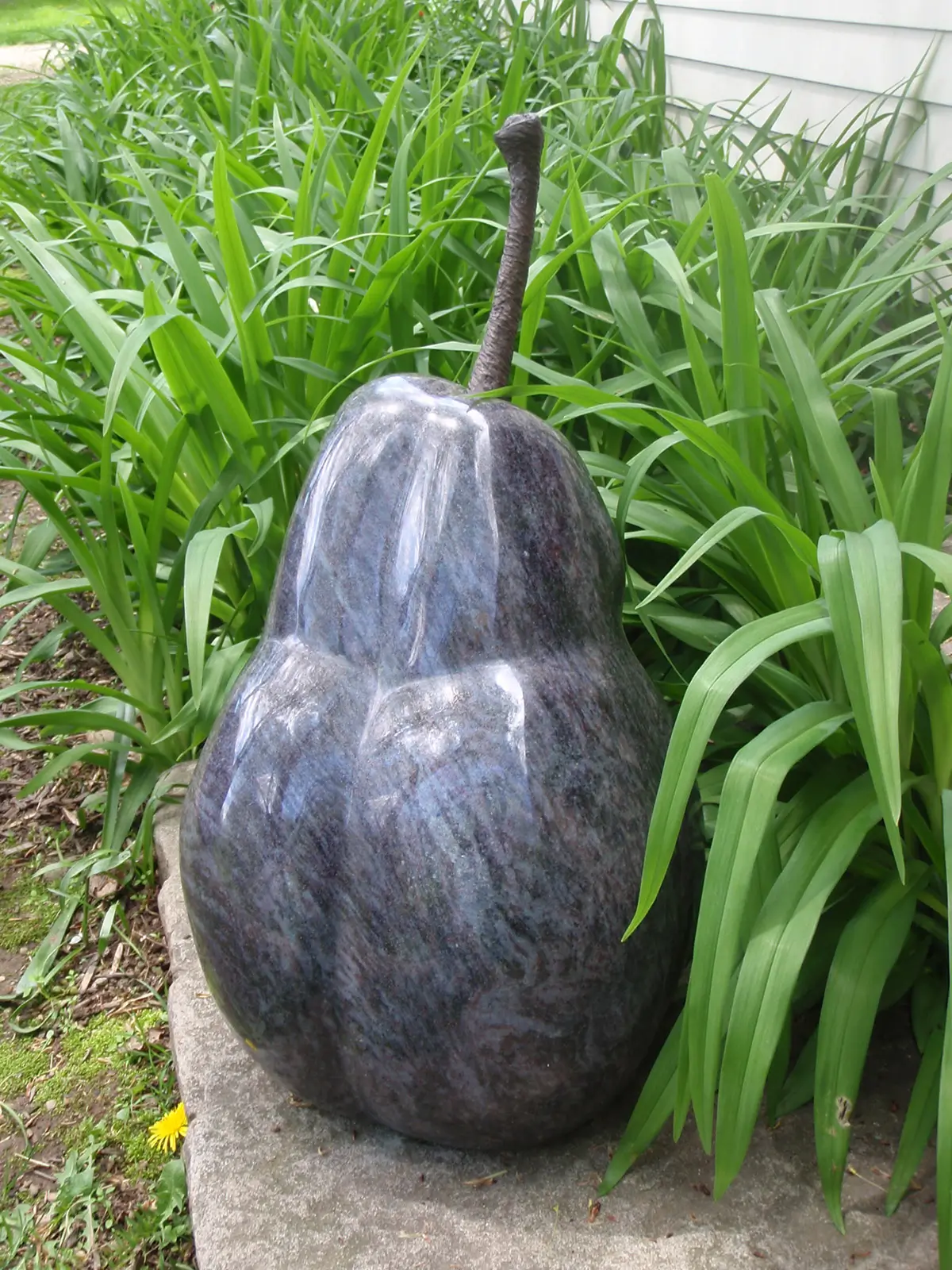 Series of Pears, view 14